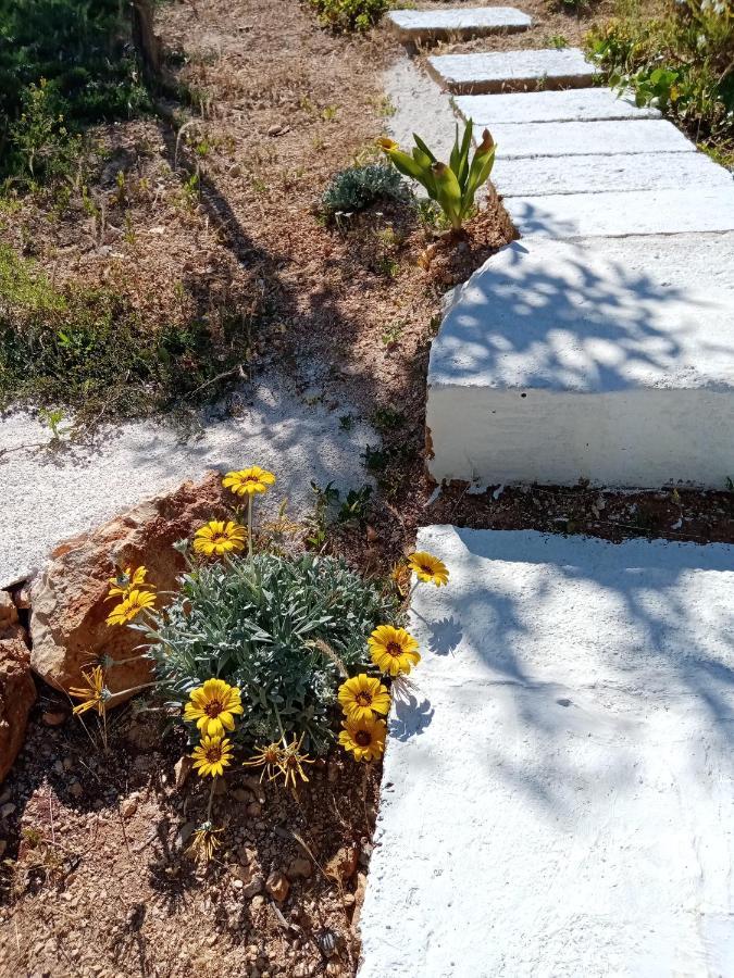 Trulli La Collinetta Villa Martina Franca Eksteriør billede