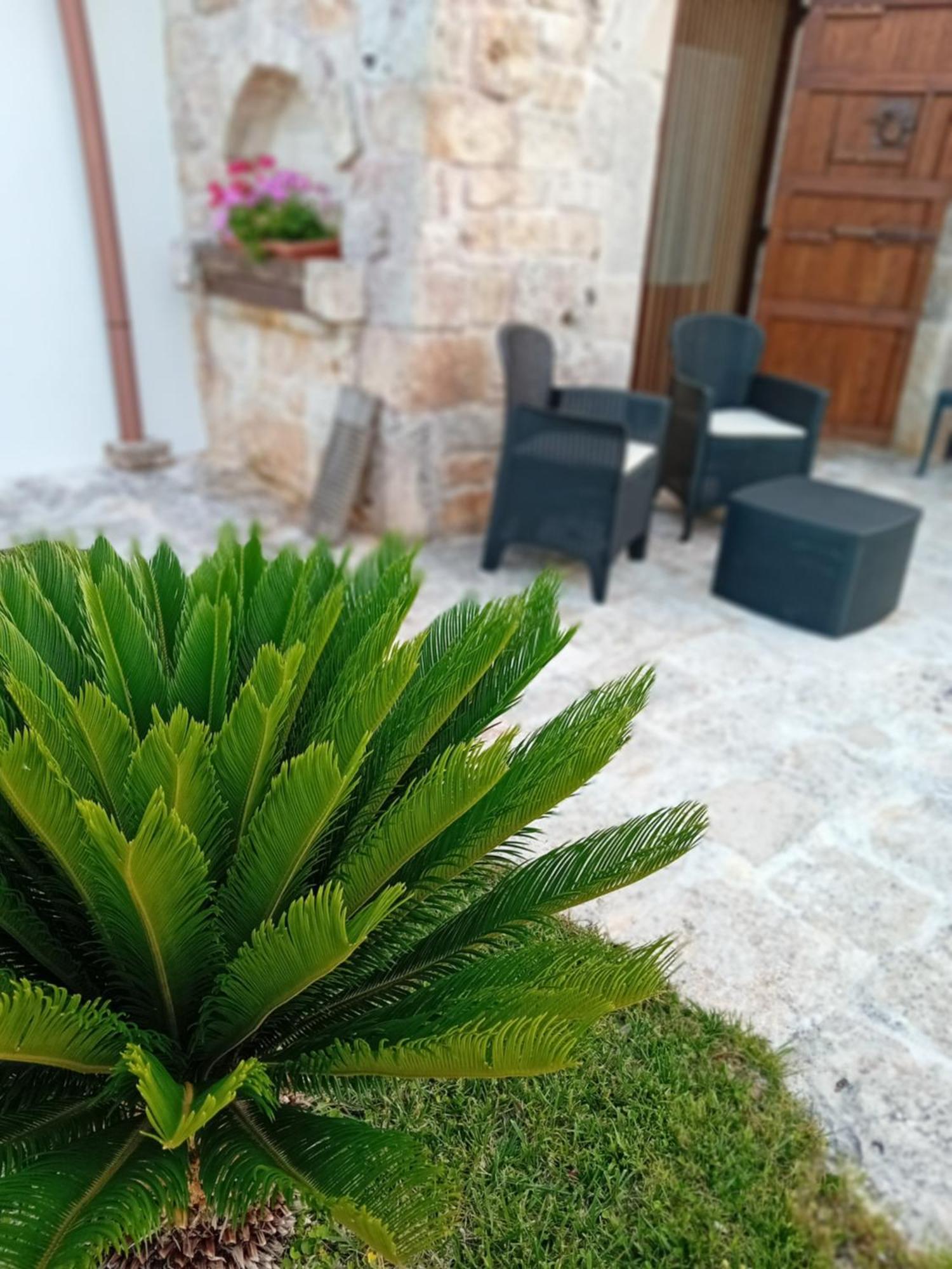 Trulli La Collinetta Villa Martina Franca Eksteriør billede