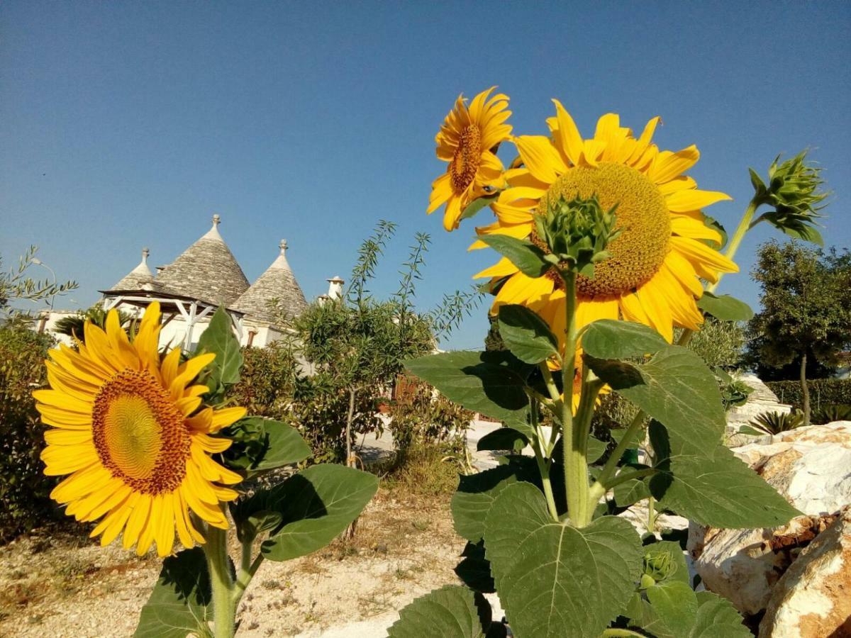 Trulli La Collinetta Villa Martina Franca Eksteriør billede